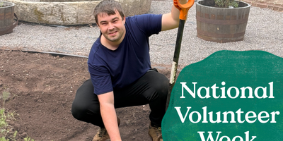 National Volunteer Week: Growing something special at Taurus Crafts
