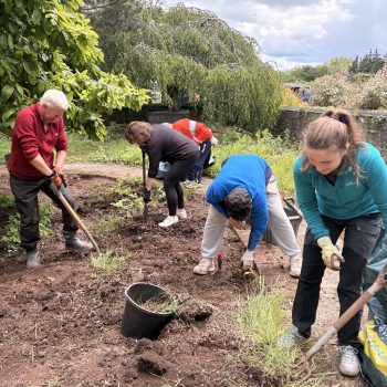 People gardening