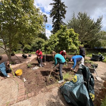 People digging