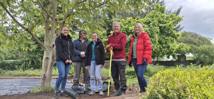 Robin and EDF volunteering